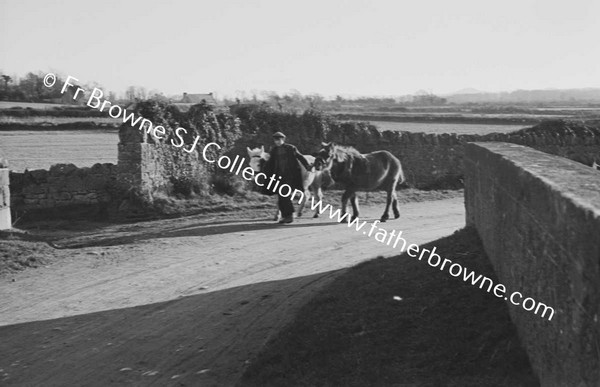 CROSSING BY BRIDGE NEAR PORTARLINGTON